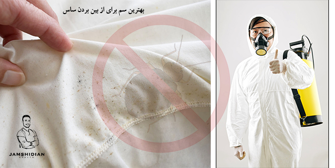 بهترین سم برای از بین بردن گزیدگی ساس